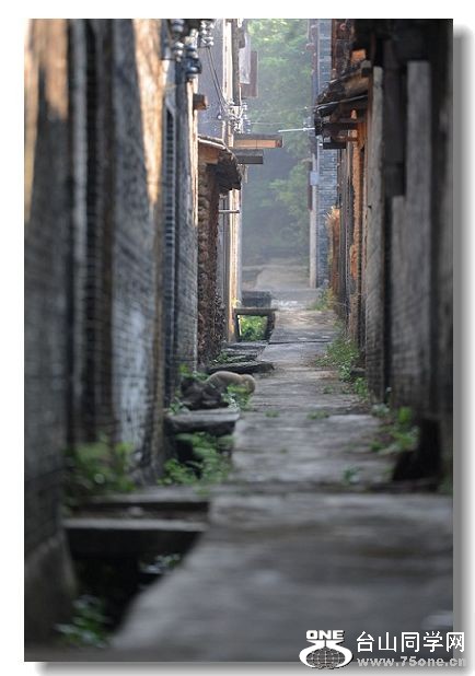 ������ 008.jpg