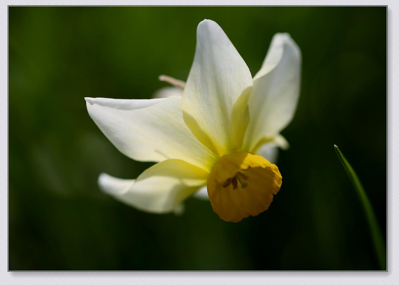 }u -4-16-13ձ@ 159-1.jpg