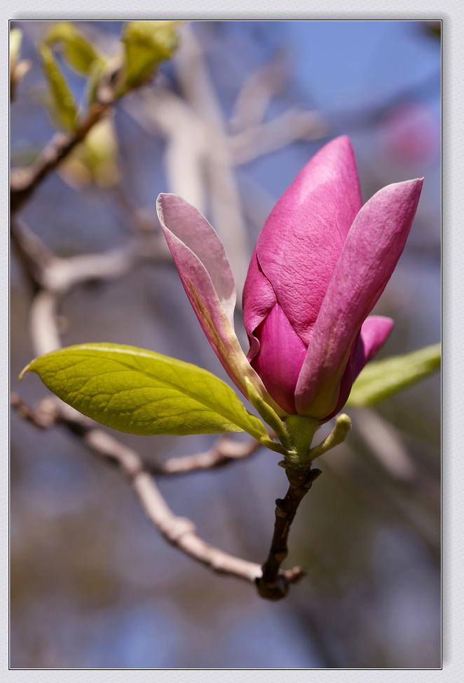 }u -4-25-13߽ 141-1.jpg