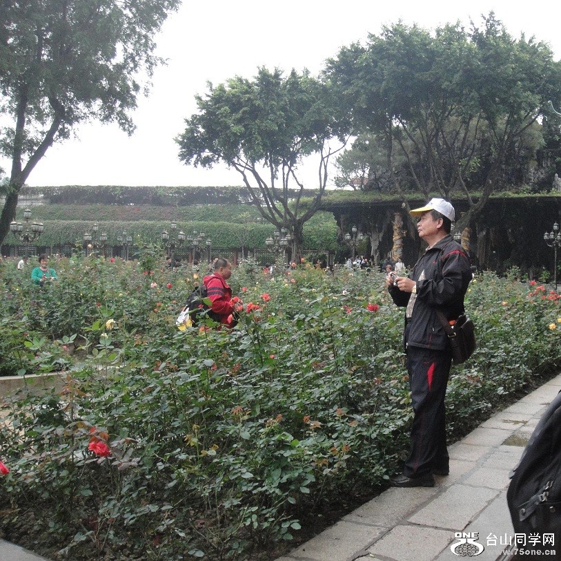 DSC07240_.jpg