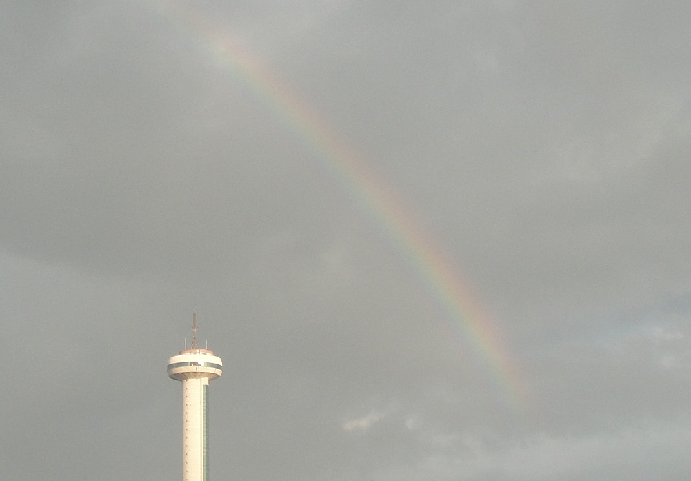 DSC07343_.jpg