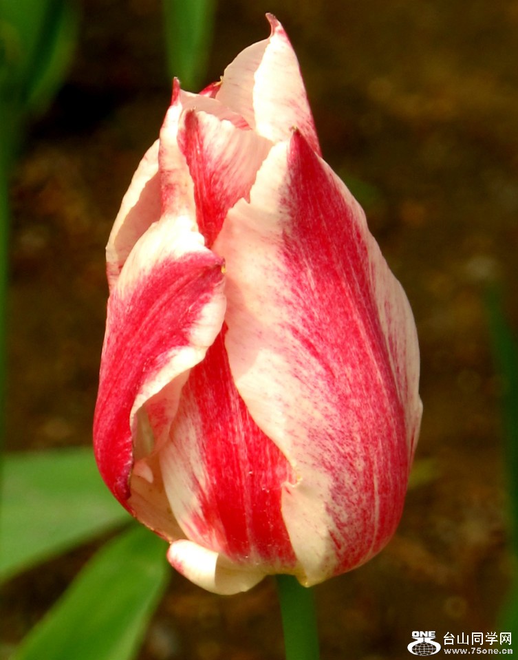 0 (23).jpg