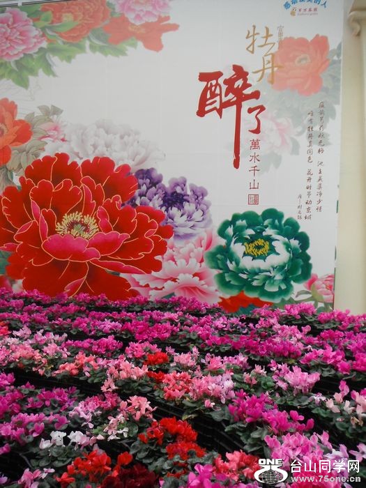 DSCF2480.jpg