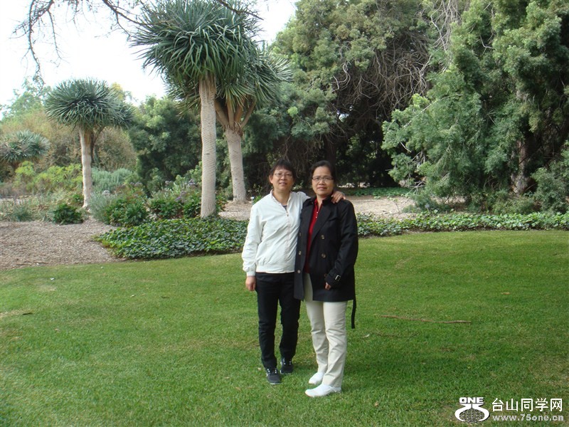 psb08.jpg