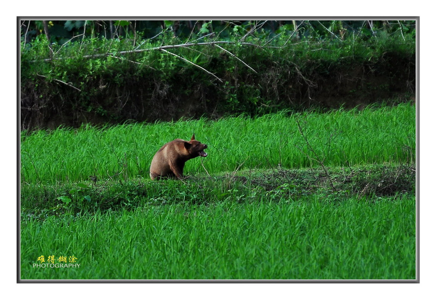 DSC_0075.jpg