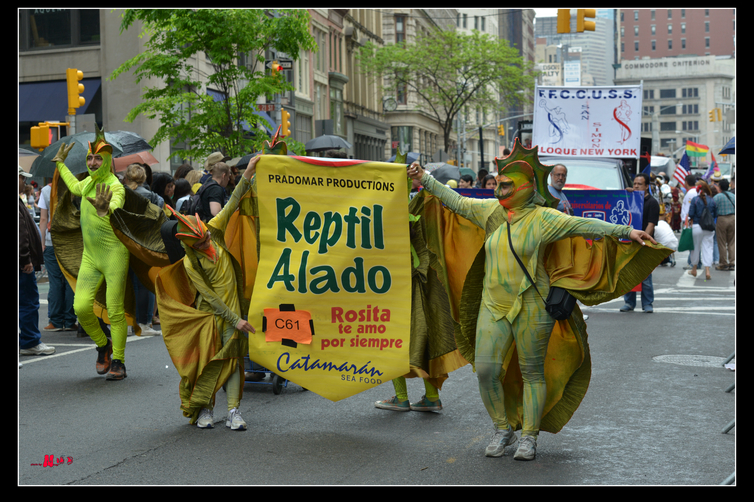 DSC_6950.jpg