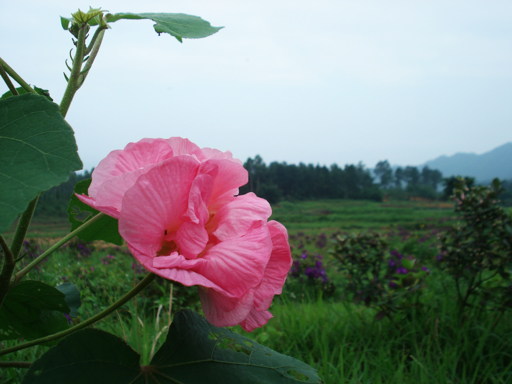 DSC00032.jpg