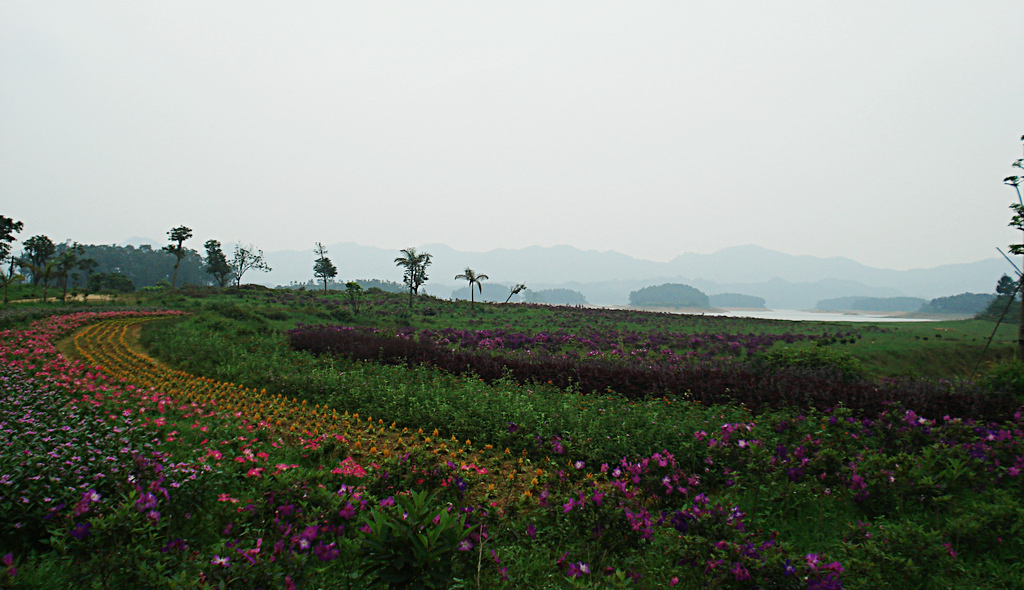 DSC00022.jpg
