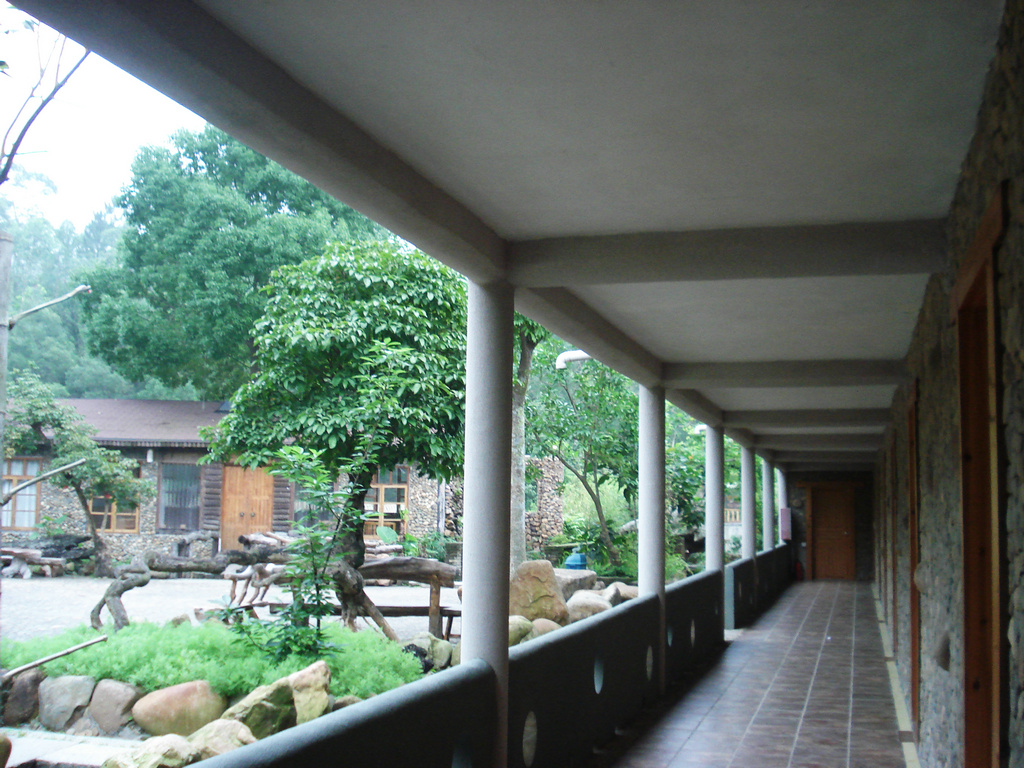 DSC00079.jpg