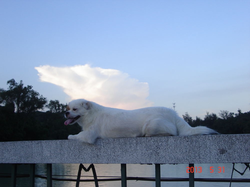 nEO_IMG_DSC04048.jpg