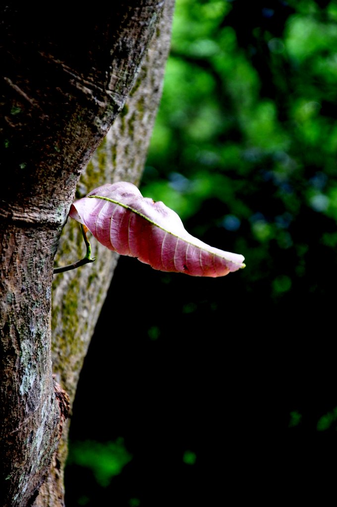 DSC_0635.JPG