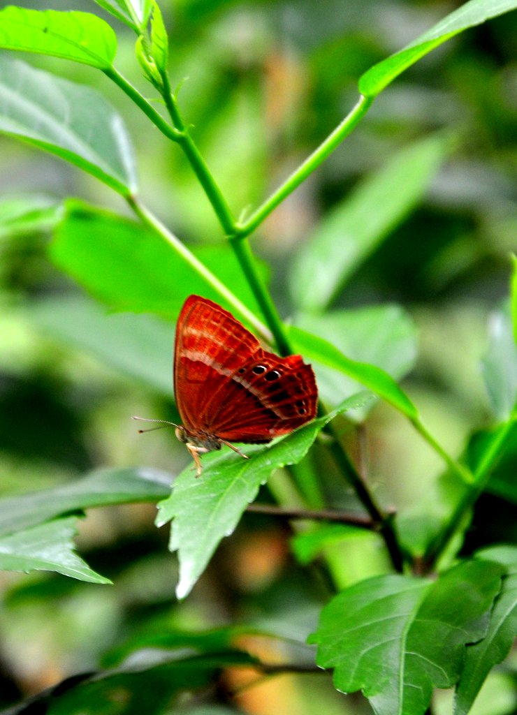 DSC_0716.JPG