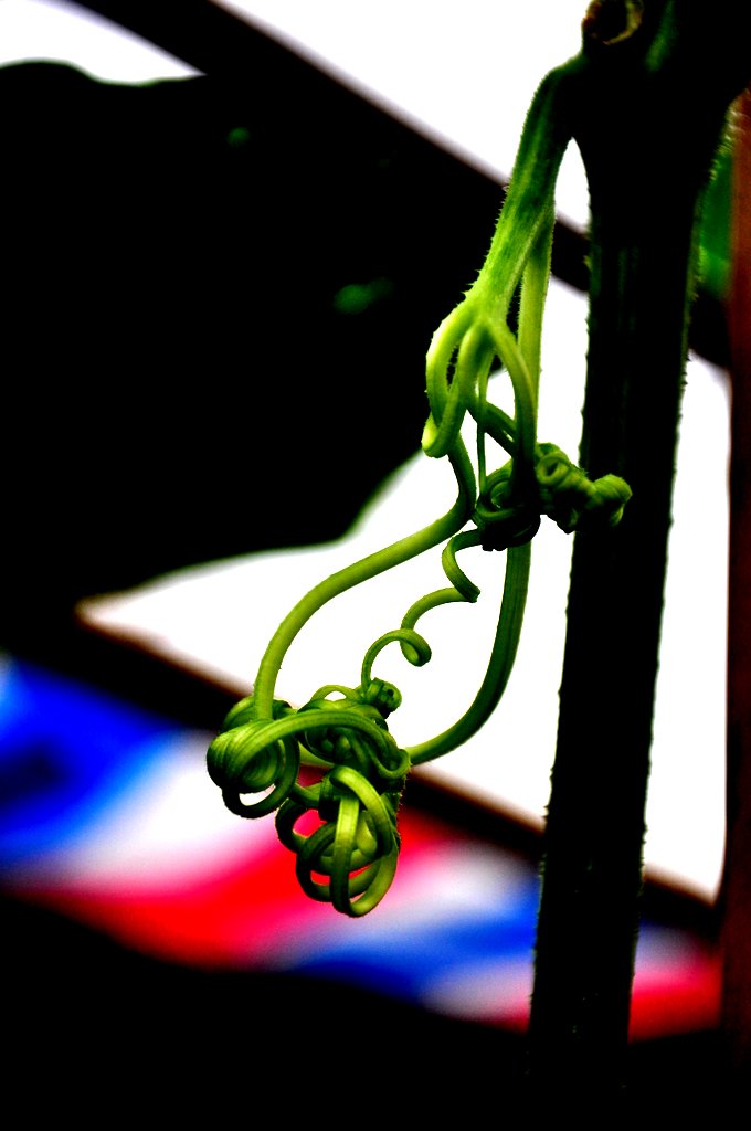 DSC_0759.JPG