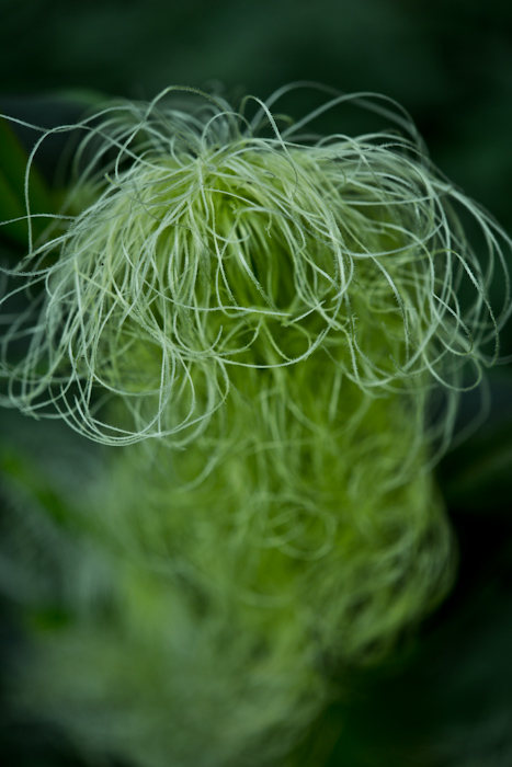 DSC_2750.jpg