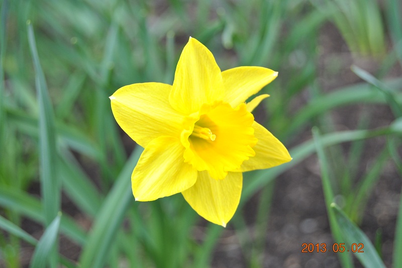 DSC_0006.JPG