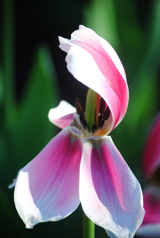 DSC_0407.JPG