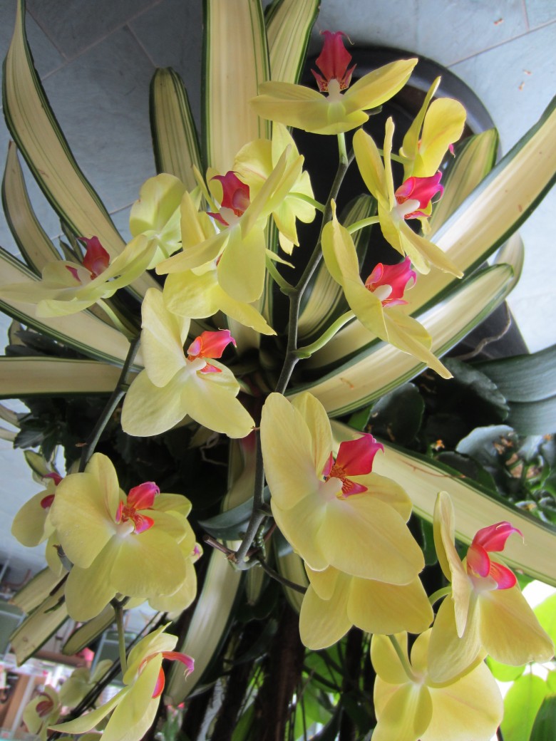 IMG_5861_conew1.jpg