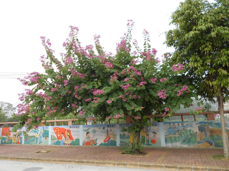 DSCN0825.JPG
