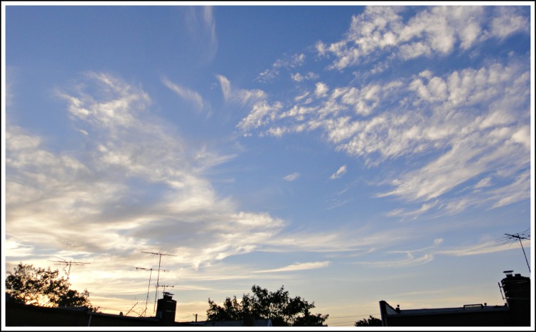 DSC04578.JPG