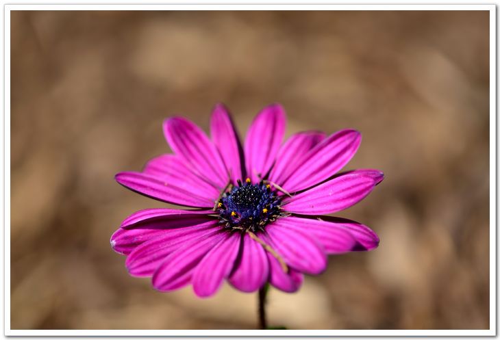 nEO_IMG_DSC_5889.jpg