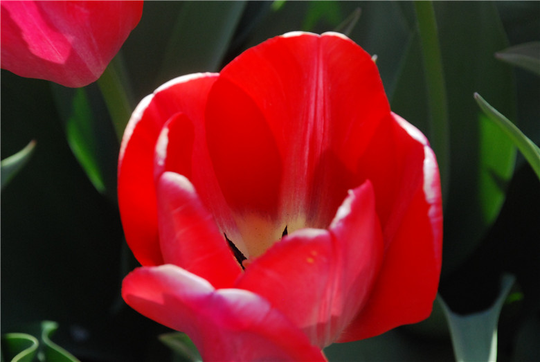 DSC_0352.jpg