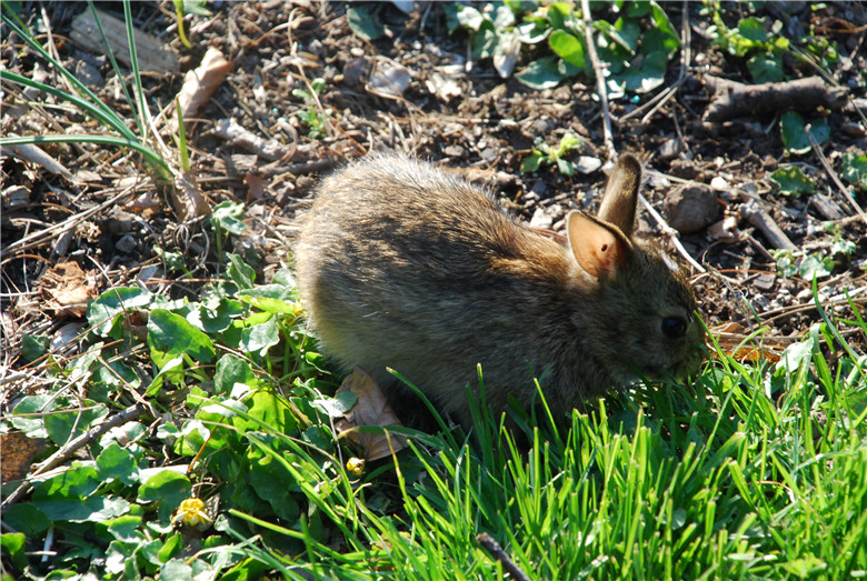 DSC_0418.jpg