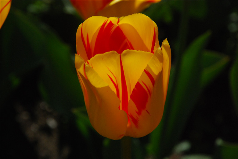 DSC_0360.jpg