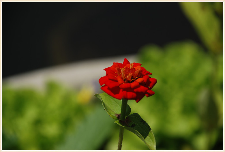 DSC_0170.jpg