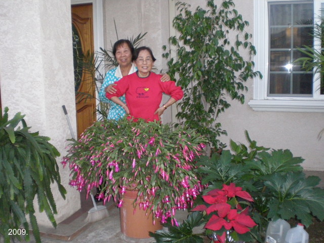 P1190351-002.jpg