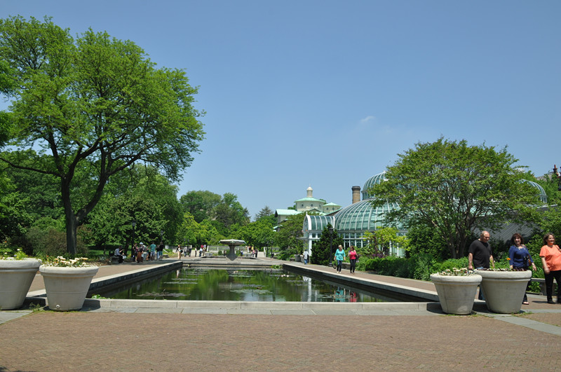 DSC_0017_.jpg