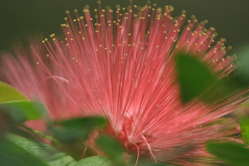 CSC_0055_.jpg