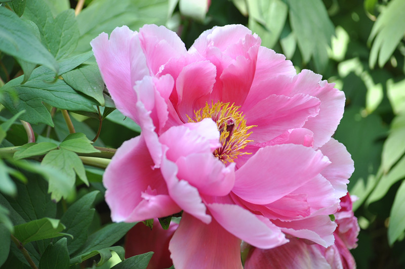 DSC_0111_.jpg