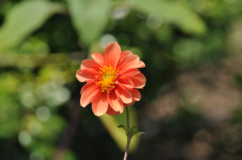 DSC_0001_.jpg