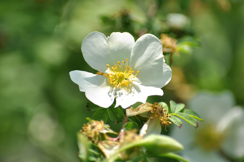 DSC_0067_.jpg