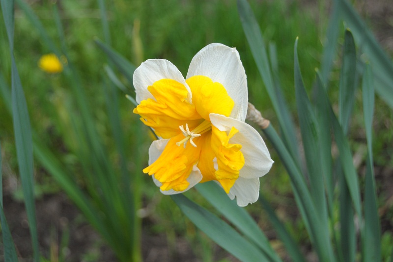 DSC_0018.JPG