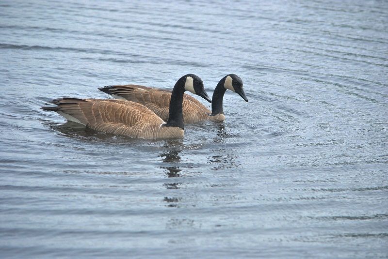 DSC_0283.JPG