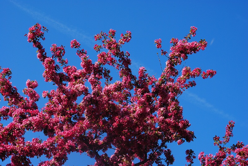 DSC_0246.JPG