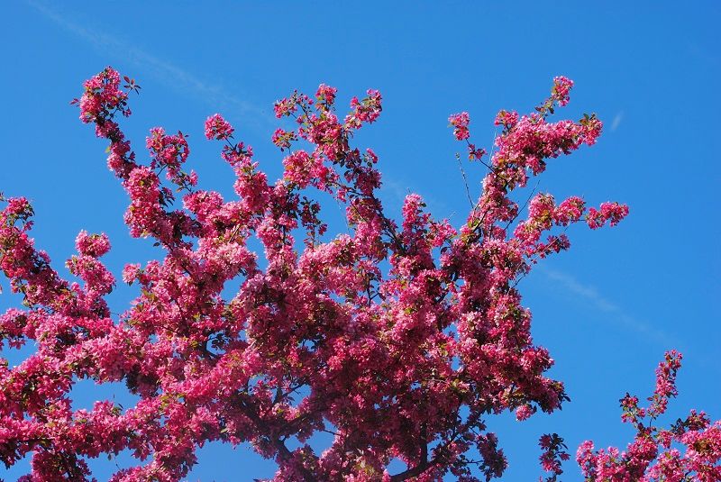 DSC_0246.JPG