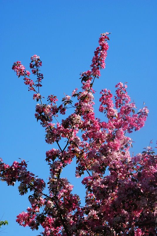 DSC_0255.JPG