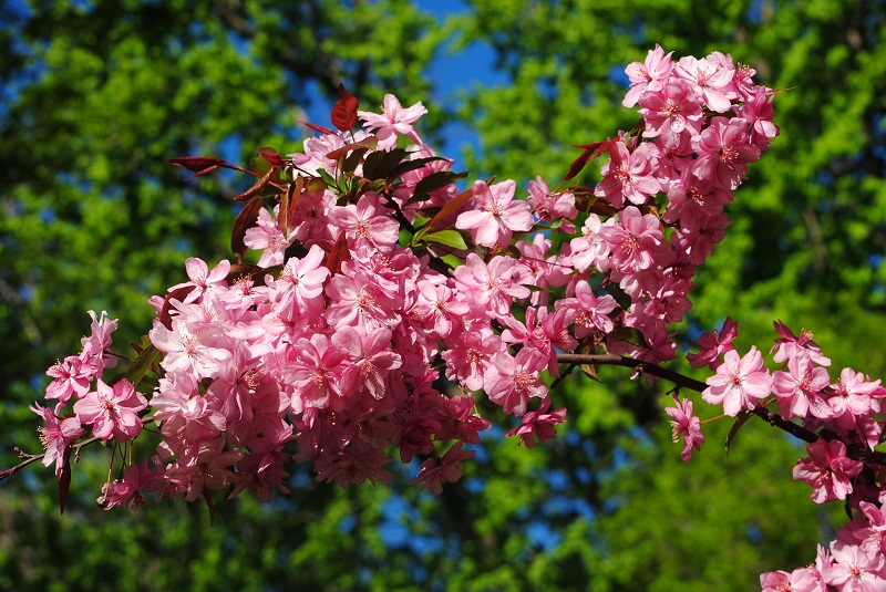 DSC_0230.JPG