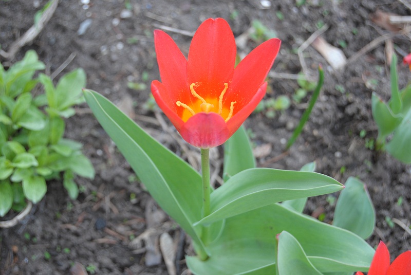 DSC_0007.JPG