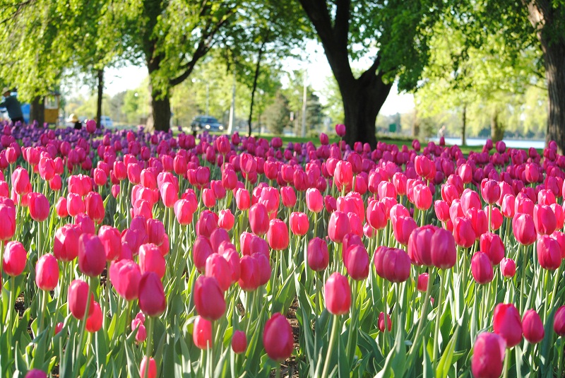 DSC_0268.JPG