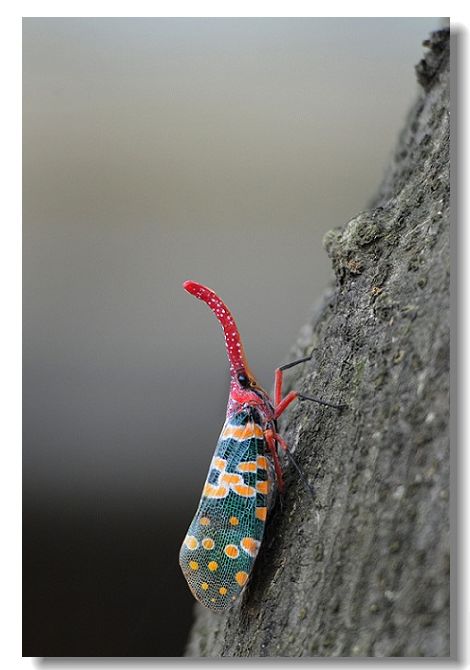 ����� 286.jpg