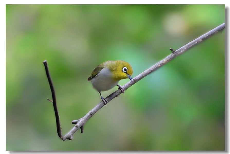 һ����ȸ 183.jpg