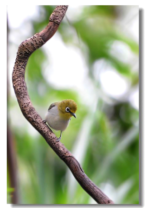 һ����ȸ 028.jpg