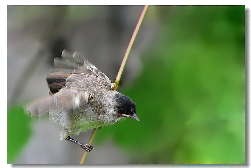 ר���� 302.jpg