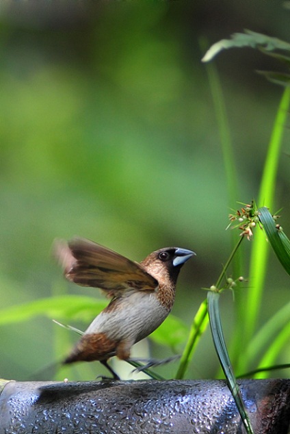 һ����ȸ2 287.jpg