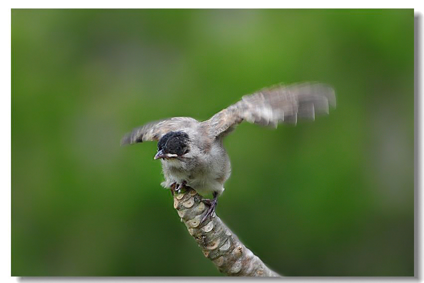 ר���� 299.jpg