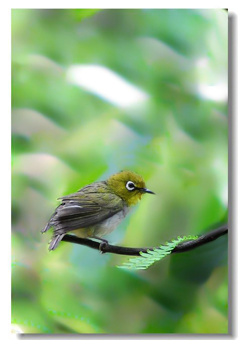 һ����ȸ2 676(1).jpg