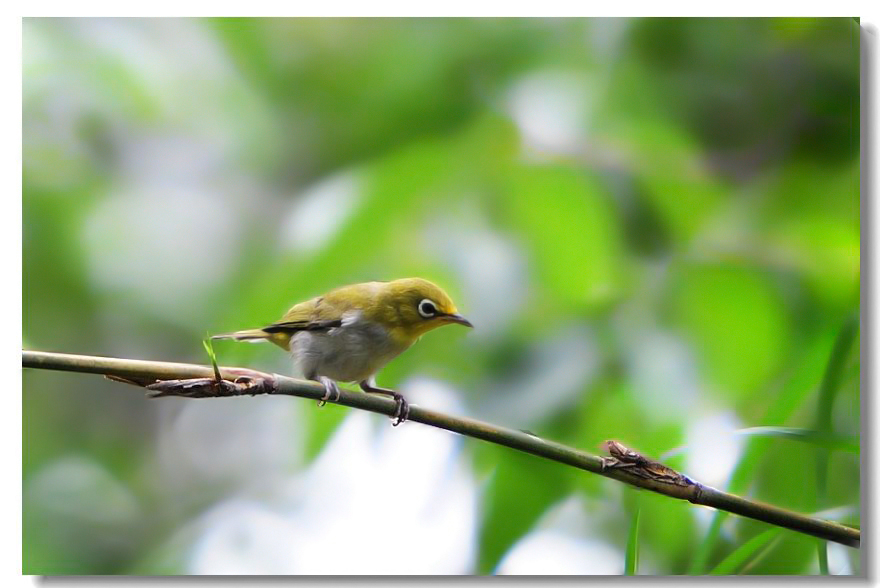 һ����ȸ2 159.jpg